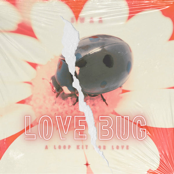 LOVE BUG